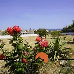 #331 Casa Chico Rita Authentic